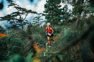 BIB: 
                            <button type="button" onclick="openModal(25259235)" class="btn btn-primary btn-sm float-right btn-popup" data-toggle="modal" data-target=".modal-high-quality">
                        <i class="fas fa-shopping-cart"></i> Add to Cart
                    </button>
                                            <button type="button" onclick="isThisMe(25259235, true)" class="btn btn-success btn-sm float-right btn-popup btn-isme hidden" data-toggle="tooltip" data-placement="bottom" title="นี่คือรูปของคุณใช่ไหม คลิกที่นี่เพื่อเอาเข้าอัลบั้ม">
                        <i class="fas fa-plus"></i> Add to album
                    </button>
                    <button type="button" onclick="isThisMe(25259235, false)" class="btn btn-warning btn-sm float-right btn-popup btn-isnotme hidden">
                        <i class="fas fa-ban"></i> Remove from album
                    </button>